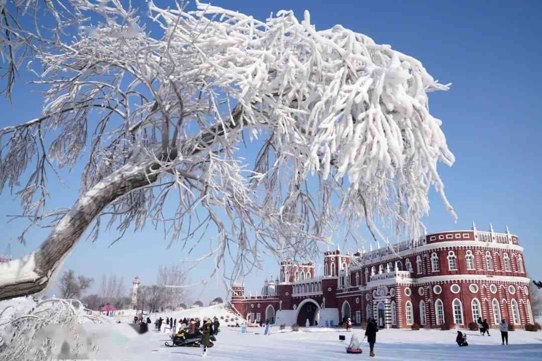 ai绘画冰雪城堡文案怎么写才能既好又好看，完美呈现冰雪魅力