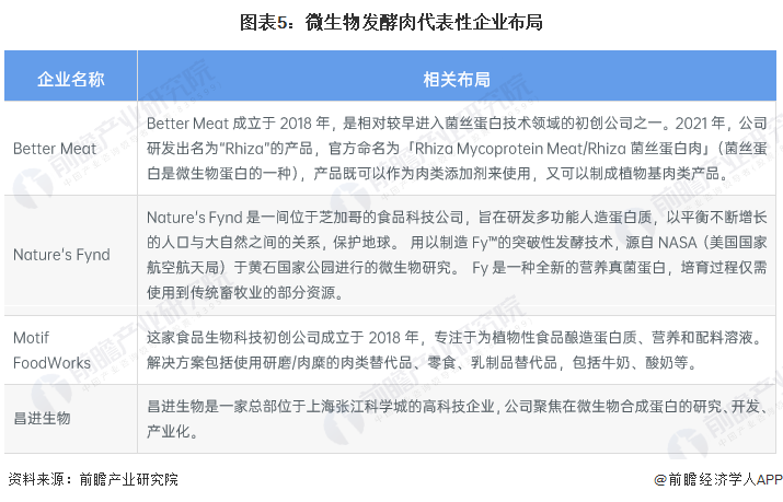 ai使用前景分析报告怎么写的：深度解析与撰写要点