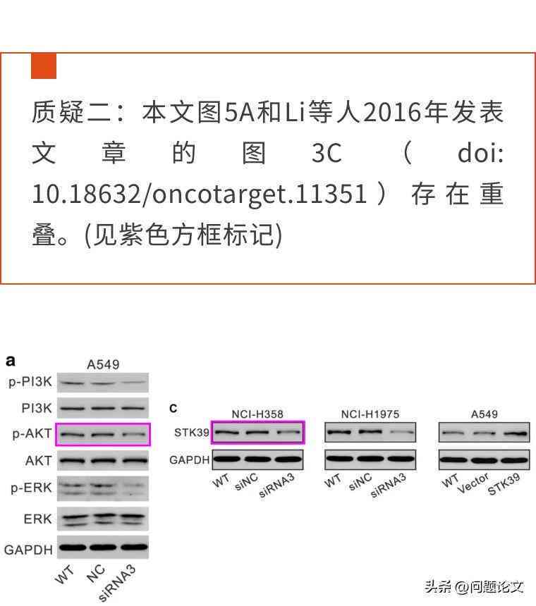 高校考察课论文是否会进行查重检测及相似度标准详解