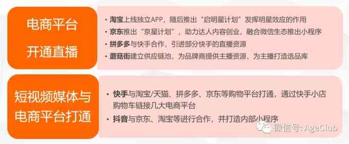 陪聊软件的运营模式：市场与顾客分析及盈利情况探究