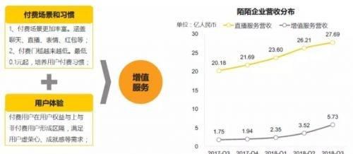 陪聊软件的运营模式：市场与顾客分析及盈利情况探究