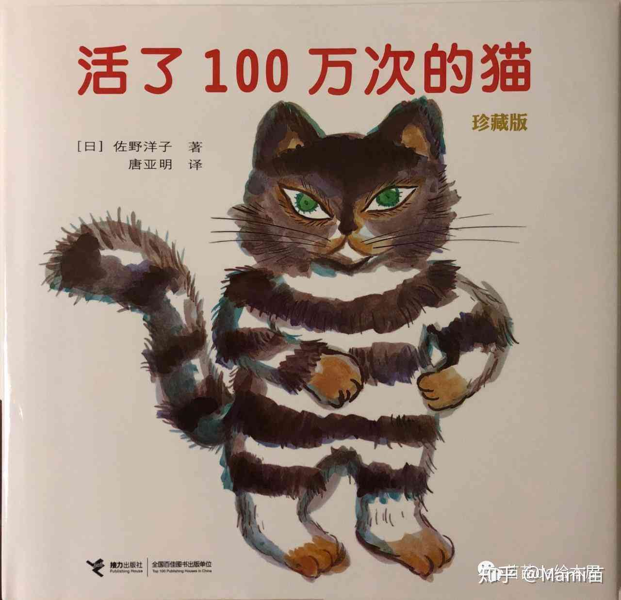 与猫对话作文：300-500字不同篇幅我与猫咪的精彩对话集锦