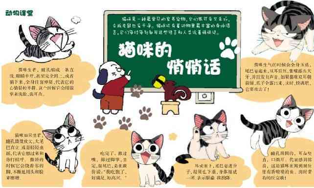 猫咪悄悄话：揭秘猫语趣味对话文案