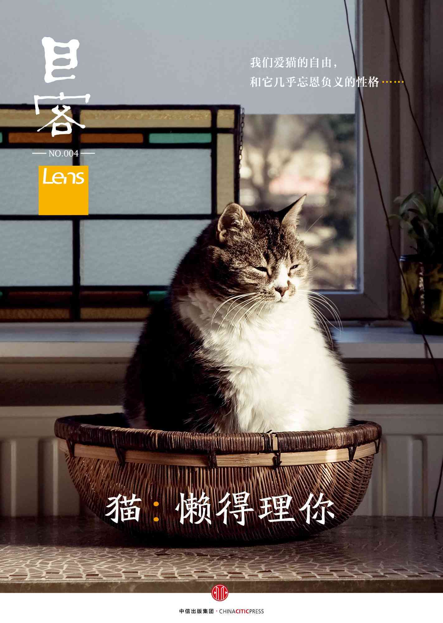 猫咪对话剧情创作指南：涵猫语互动、情感发展与创意构思全解析