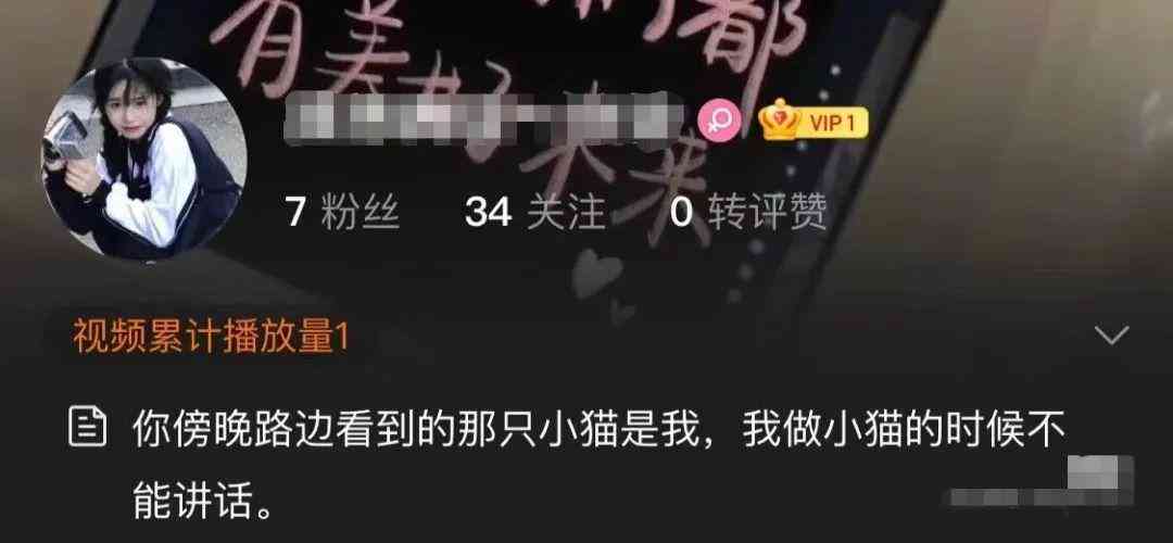 '免费小红书文案素材：创意内容一键获取'