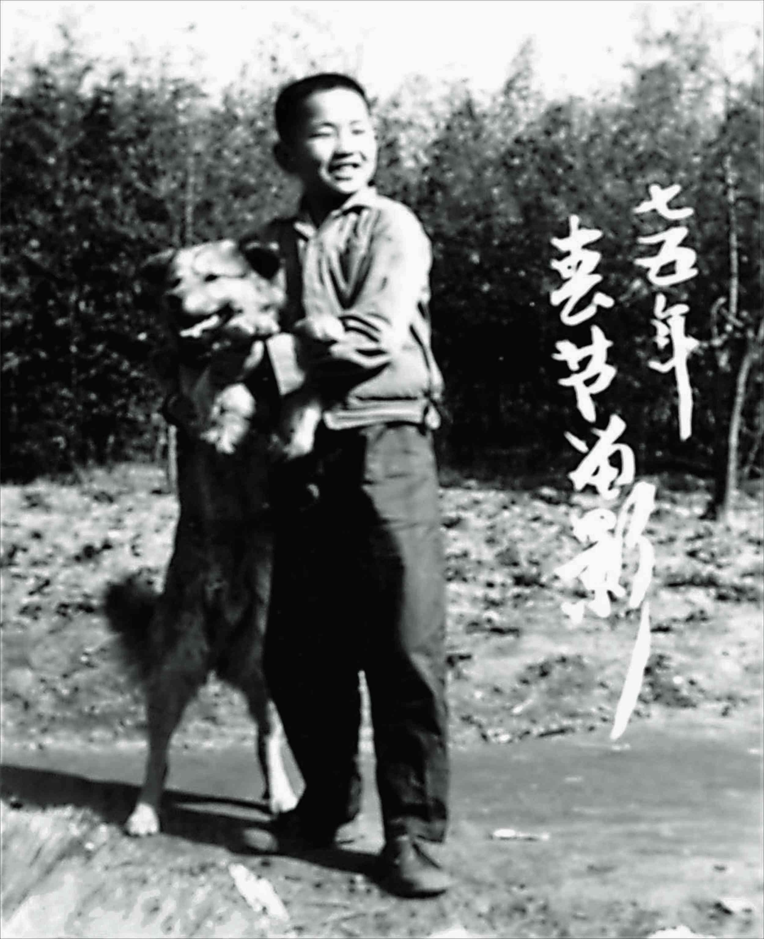 现代艺术魅力：八哥创意作品集锦析