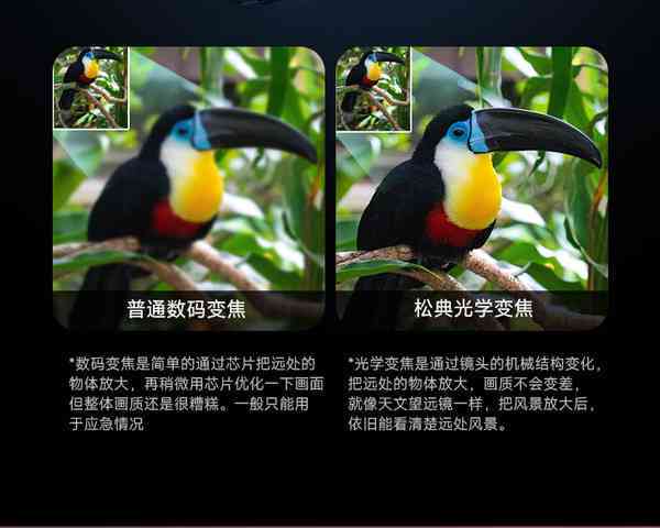八哥Vlog：全方位攻略与精彩内容集锦，探索Vlog拍摄技巧与创意灵感