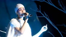 '鸟类音乐宴：八哥惊艳翻唱经典曲目'
