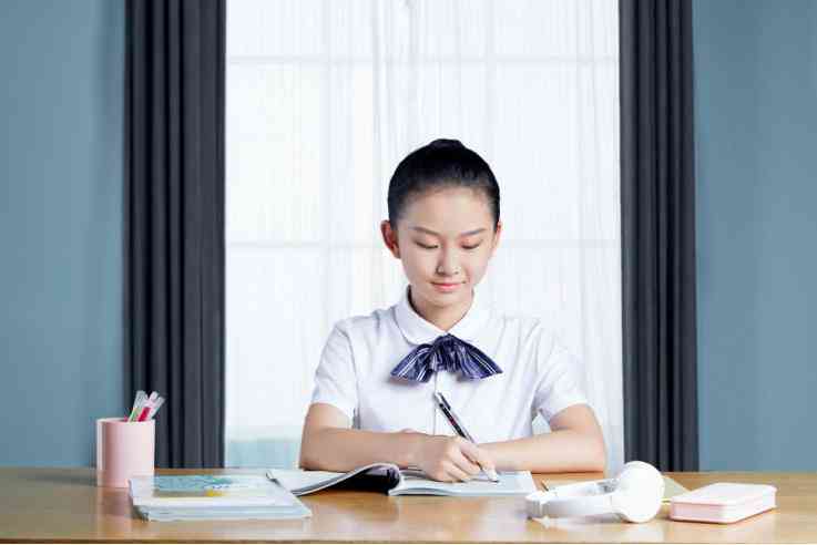 '智能AI作业辅导与实战教程：从入门到精通'