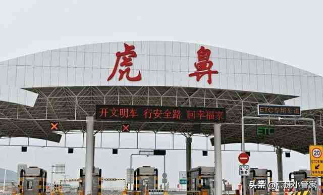 '基于关键指标评估的可行性报告生成软件解决方案'