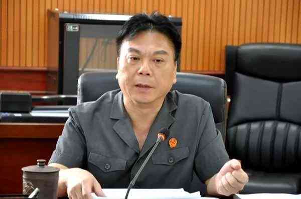 '基于关键指标评估的可行性报告生成软件解决方案'