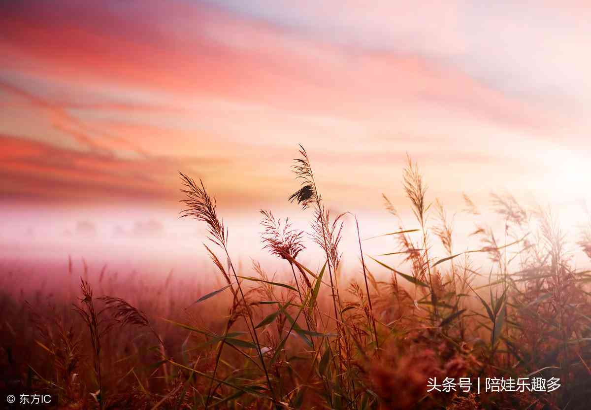 联想电脑AI写作：如何使用及软件介绍（含使用指南与名称）