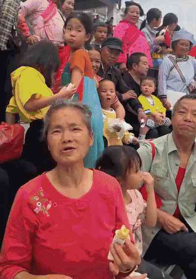 全方位攻略：如何创意分享日常投喂朋友圈，吸引更多点赞与互动