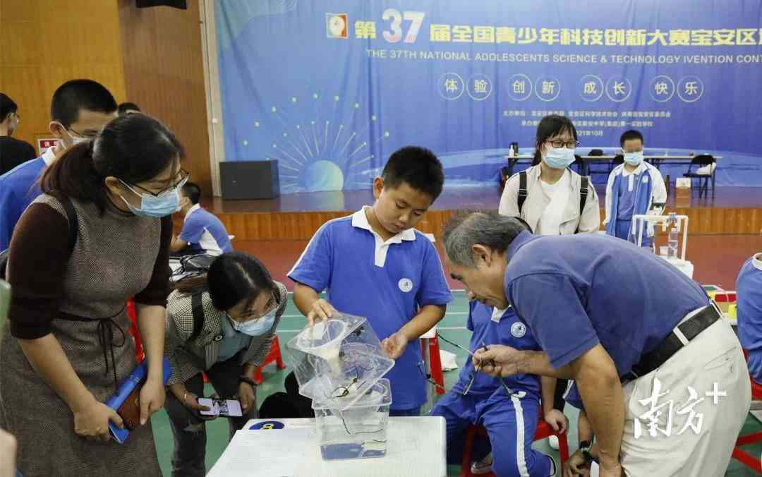 青少年科技创新成果展示：校园创意发明与未来科技之星精选