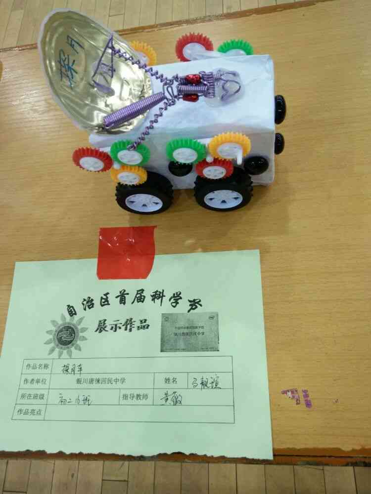 探索与创新：中小学生在科技创新领域的杰出作品展示