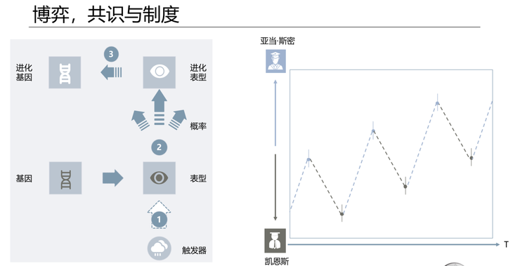 掌握AI透视网格：使用方法、操作技巧与实用案例解析