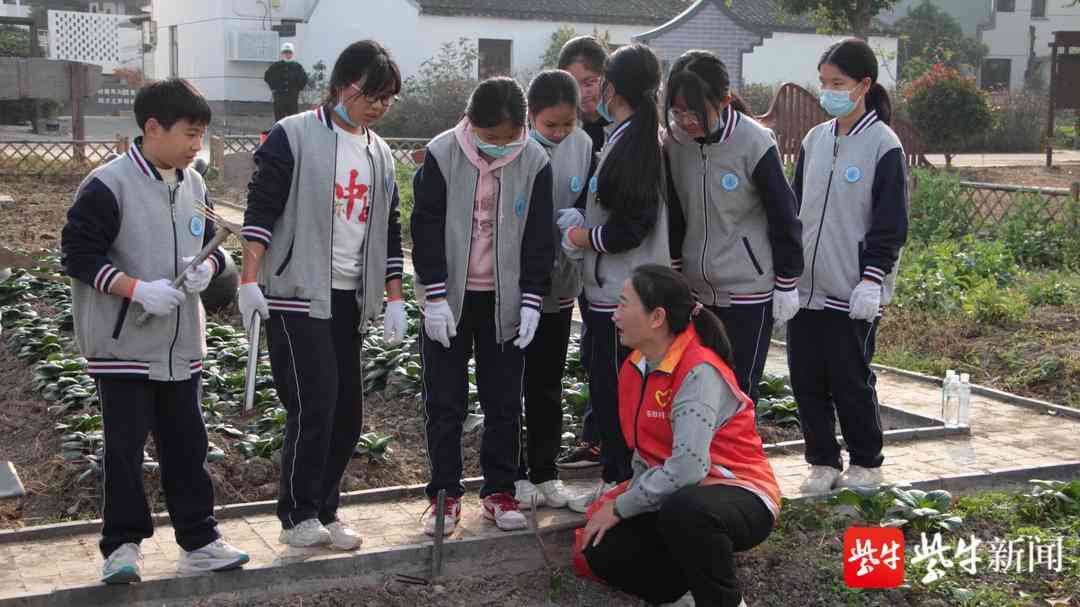 深度揭秘：AI辅助写作软件的利与弊及用户真实体验评价