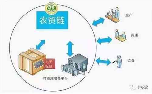 揭秘创作中心的地理位置与功能：全面解析创作中心的分布与影响力