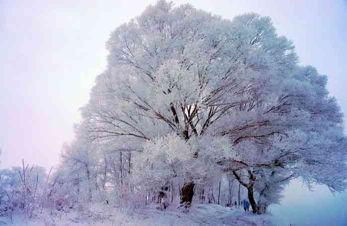 AI绘画冬日雪景创意文案撰写攻略