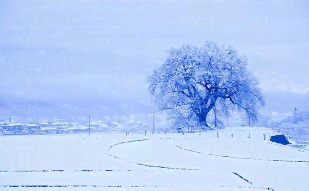 ai绘画下雪文案怎么写