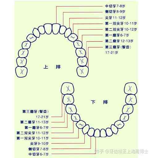 牙齿损伤与工伤等级认定：拔牙后的工伤评定标准与流程解析