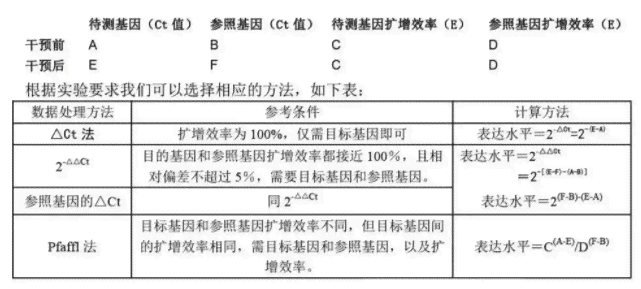 nnai总结写作：特点、原理、模型全解析