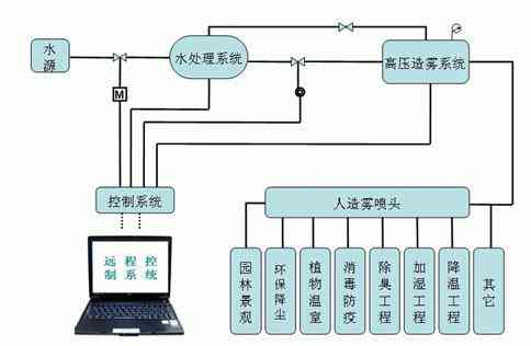 监管系统：机构、官网、特点与监管机制概述