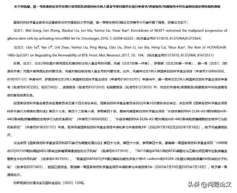 'AI辅助大学论文写作：检测技术能否揭示学术不端行为'