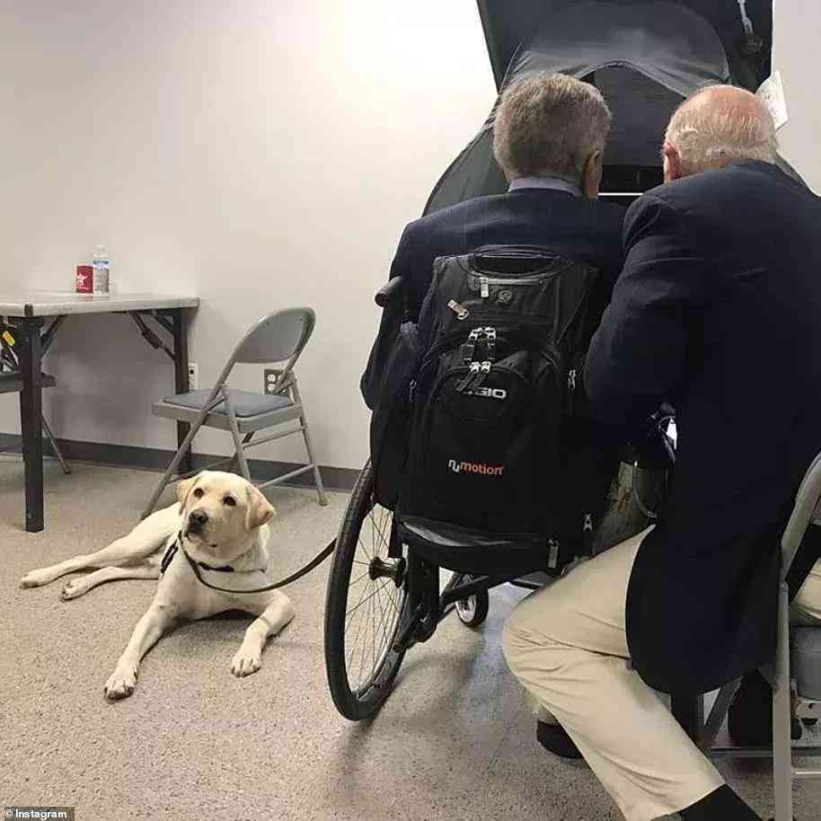 工伤伤残评定：犬伤是否纳入工伤及伤残等级判定标准解析