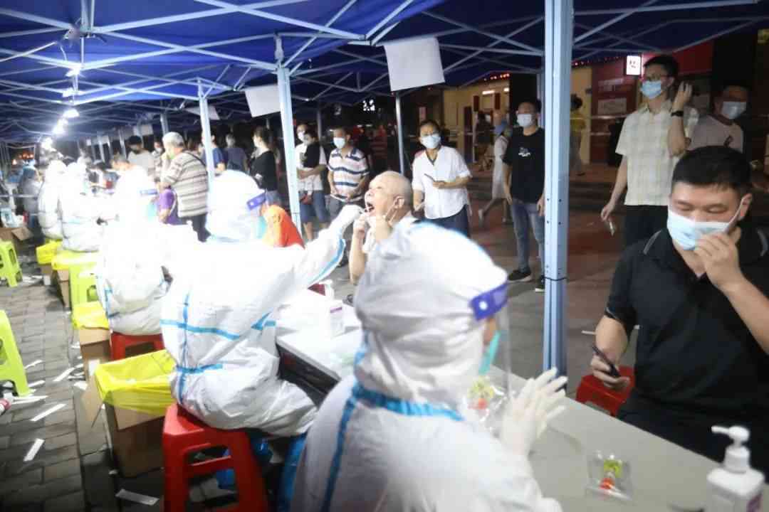 '如何判定犬只伤人中的工伤认定标准与条件'