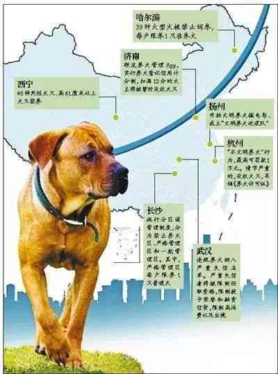 犬只伤人怎么认定工伤等级的标准与流程