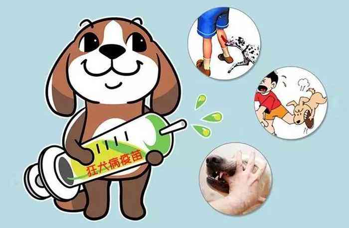 如何根据犬只伤人情况判定工伤等级及标准