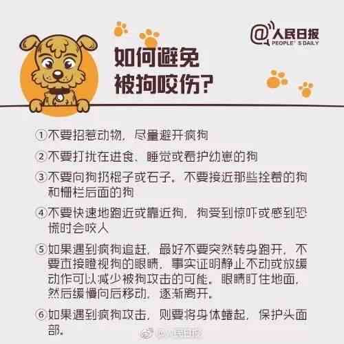 宠物致伤赔偿标准与计算方法：全方位解析狗咬人赔偿数额及法律     指南