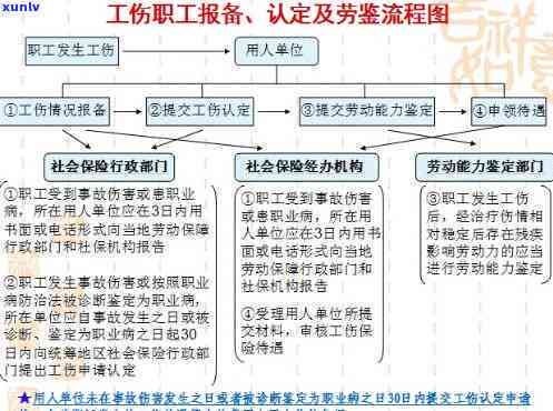 探讨犯罪行为受害者工伤等级认定及其法律适用