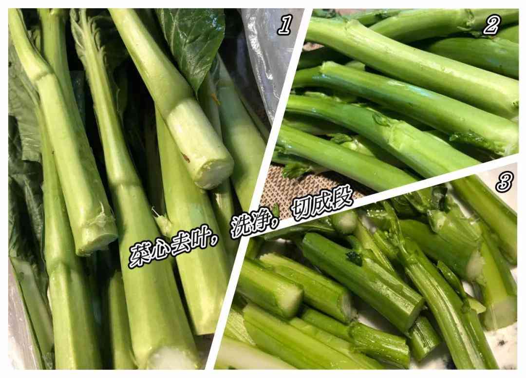 全面解析：黄油梗的起源、发展与在网络文化中的多面应用