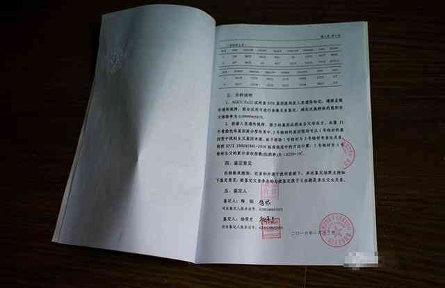 独生子女身份下的工伤等级认定指南及所需证明材料解析
