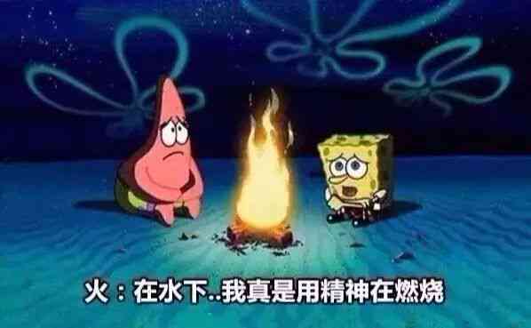 海洋之星：派大星趣味生物资料揭秘