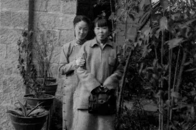 写作天下AI：官方安免费安装，一套多少钱？