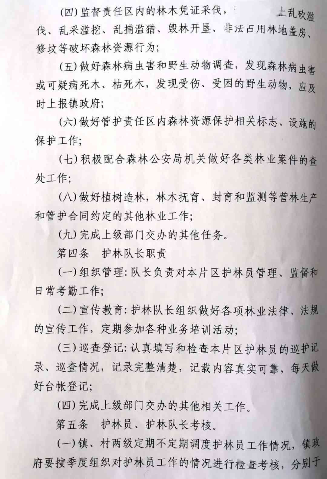 林业部门发放生态护林员工资标准及发放单位揭秘