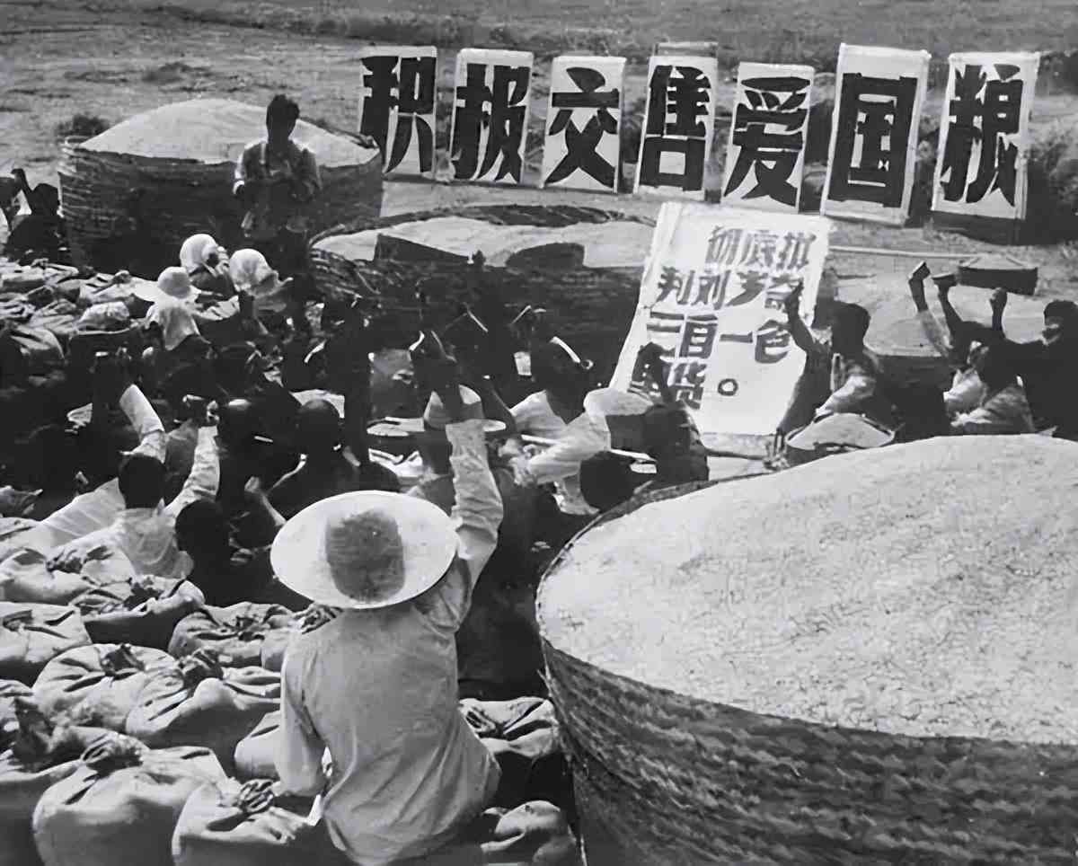 什么叫生活基础：含义、水平、状况与养老保险解析
