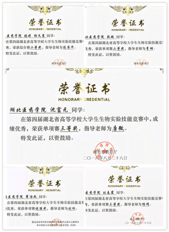 '深入了解AI创作服务协议：揭秘智能创作权益与规范'
