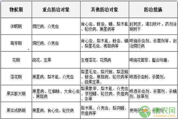 工伤认定周期详解：生病后如何判断工伤等级及所需时间