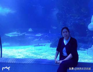 '智能AI教师辅助写作能力评估系统'