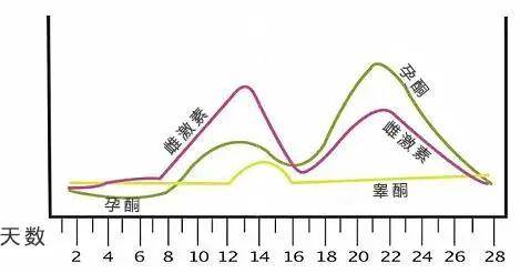 女性生命周期解析：AI动画短片全景展现女人不同阶的精彩瞬间