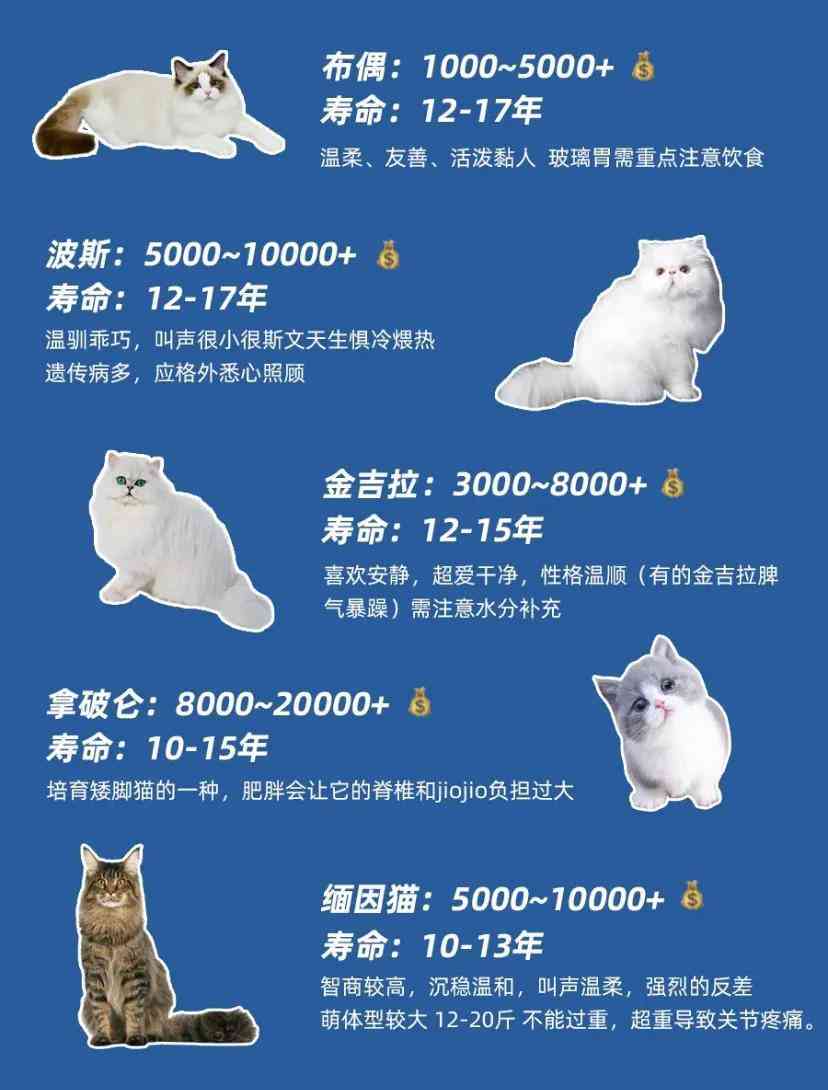 猫咪绘画指南：从基础技巧到创意设计，全方位解析如何画猫