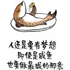 有意思的搞笑文案：短句句子集锦，简短有趣且含义丰富