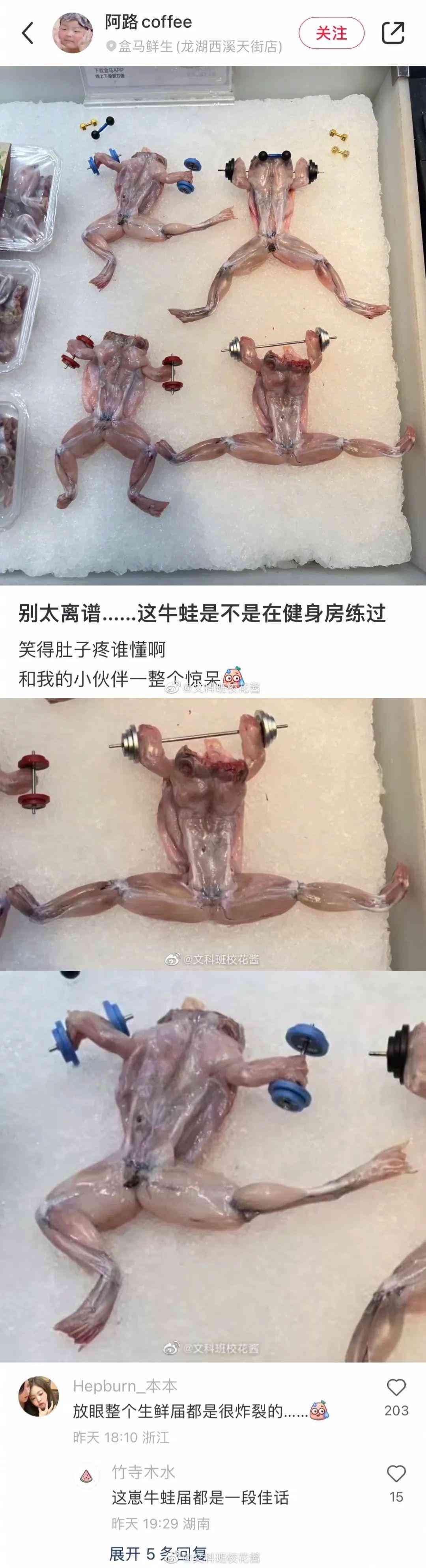 用写作猫对论文降重怎么样：辅助写作与提升论文质量的有效工具