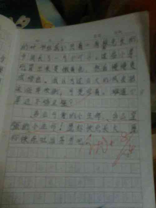 多字怎么写作文：三年级到四年级300字作文攻略