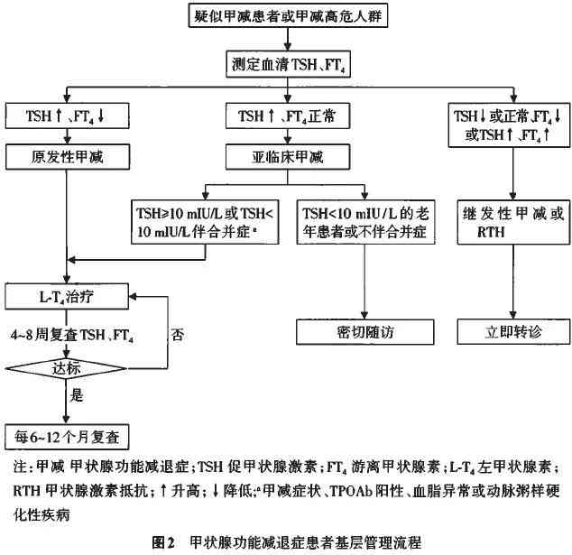甲状腺功能减退症是否属于工伤：详解甲减与职业病的关联及认定标准