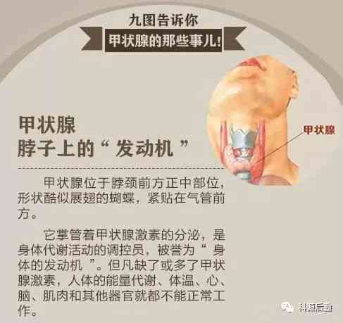 甲状腺癌：探讨其工伤等级认定的可能性与条件